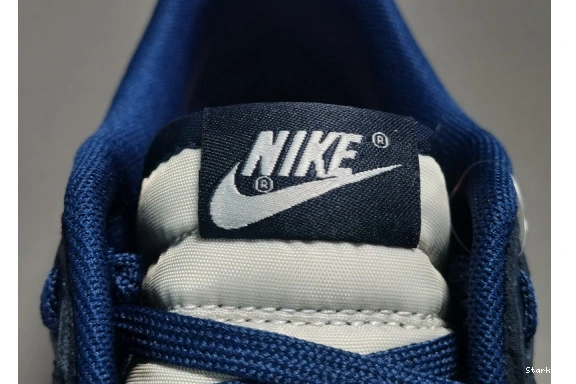 Low Georgetown Nike CW1590-004 Dunk 1005